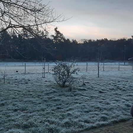 Natuurslaapkamer De Zaadeest Boskamer Lomm Dış mekan fotoğraf