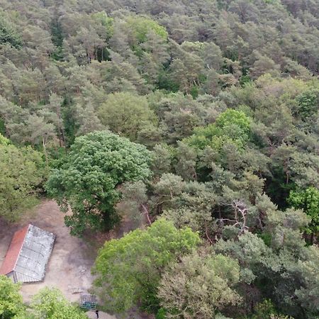 Natuurslaapkamer De Zaadeest Boskamer Lomm Dış mekan fotoğraf