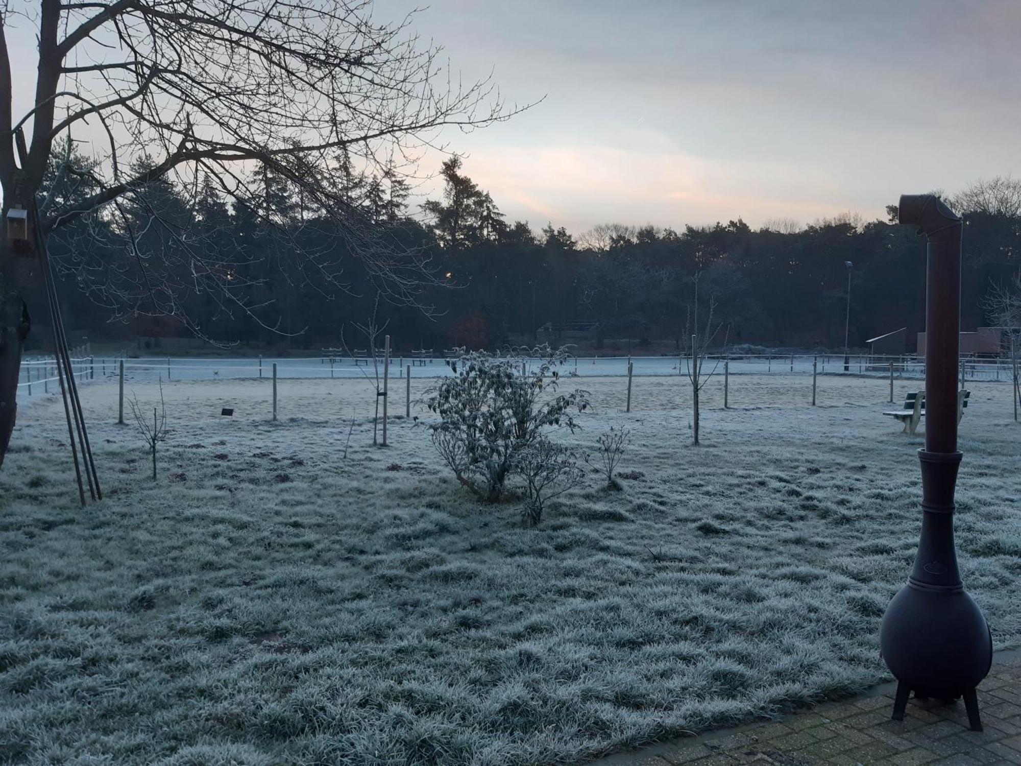 Natuurslaapkamer De Zaadeest Boskamer Lomm Dış mekan fotoğraf