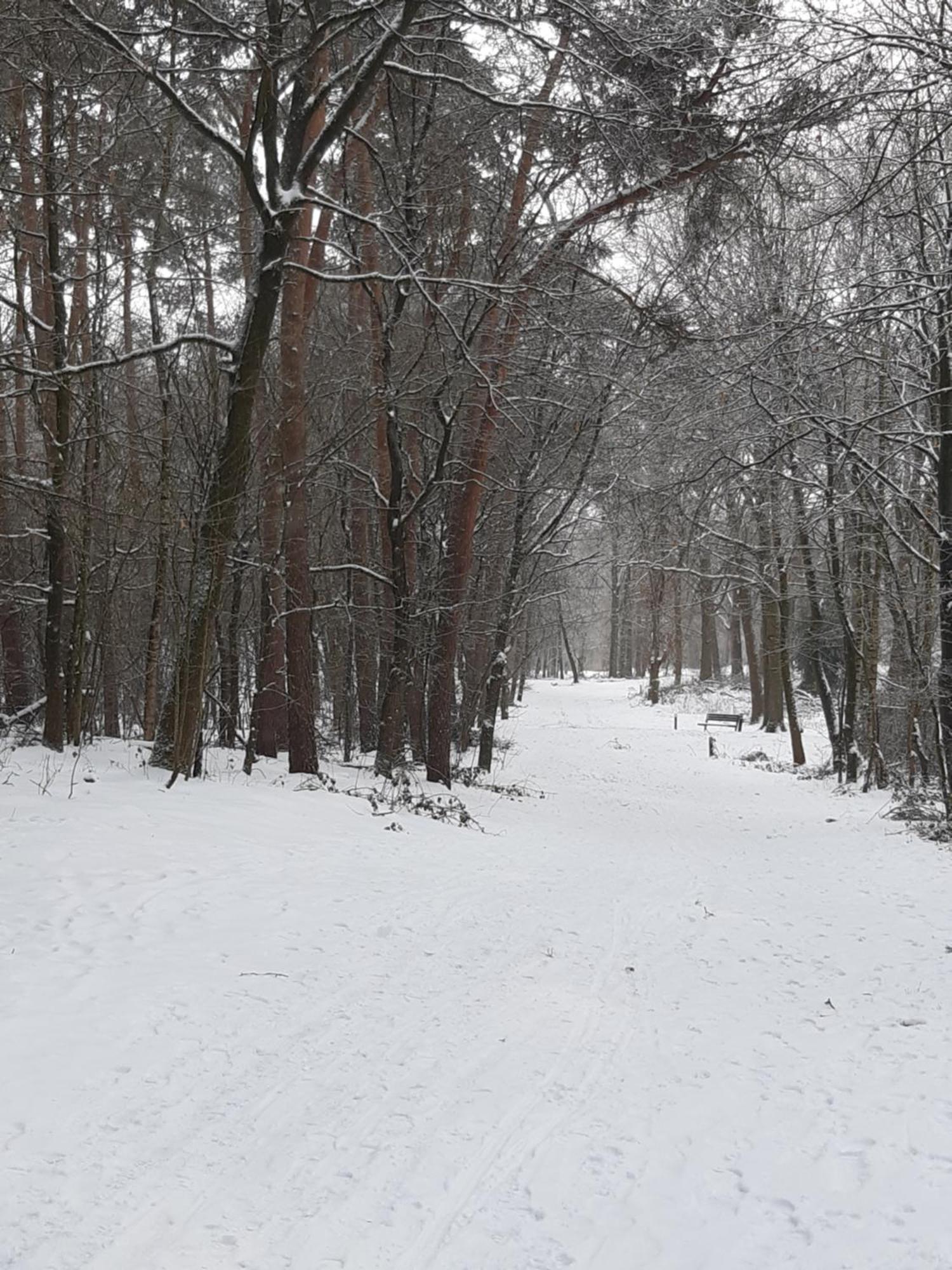 Natuurslaapkamer De Zaadeest Boskamer Lomm Dış mekan fotoğraf